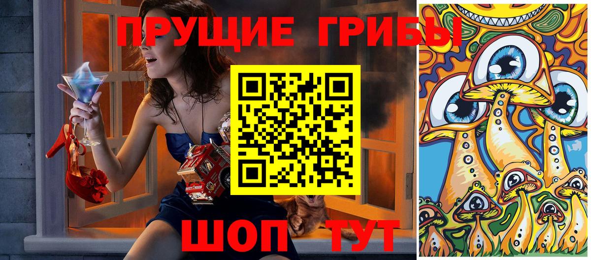 Псилоцибиновые грибы прущие грибы  Вход с VPN  Псилоцибиновые грибы Psilocybe  Моздок 