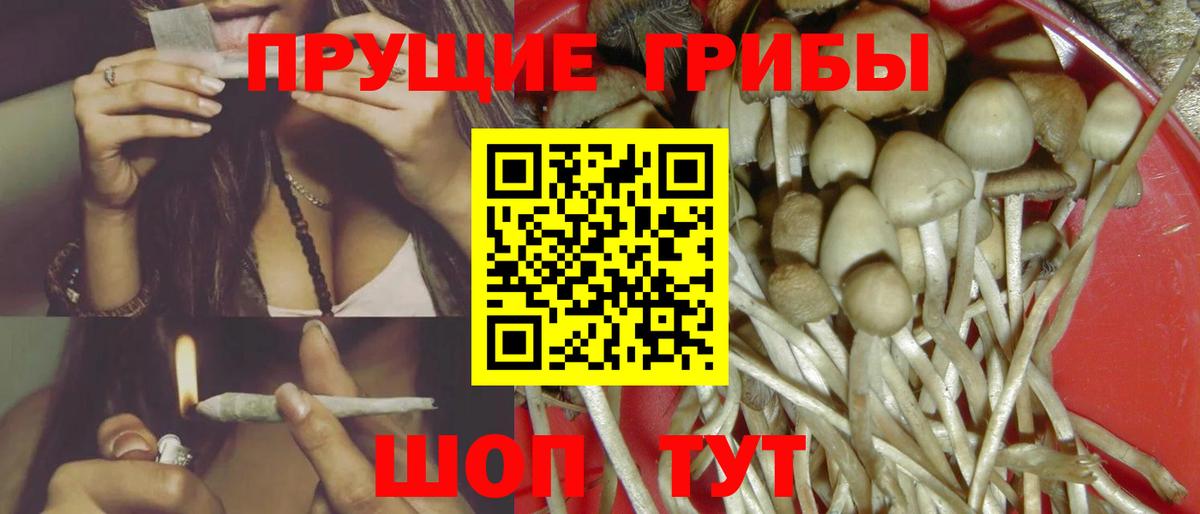 Псилоцибиновые грибы прущие грибы Моздок